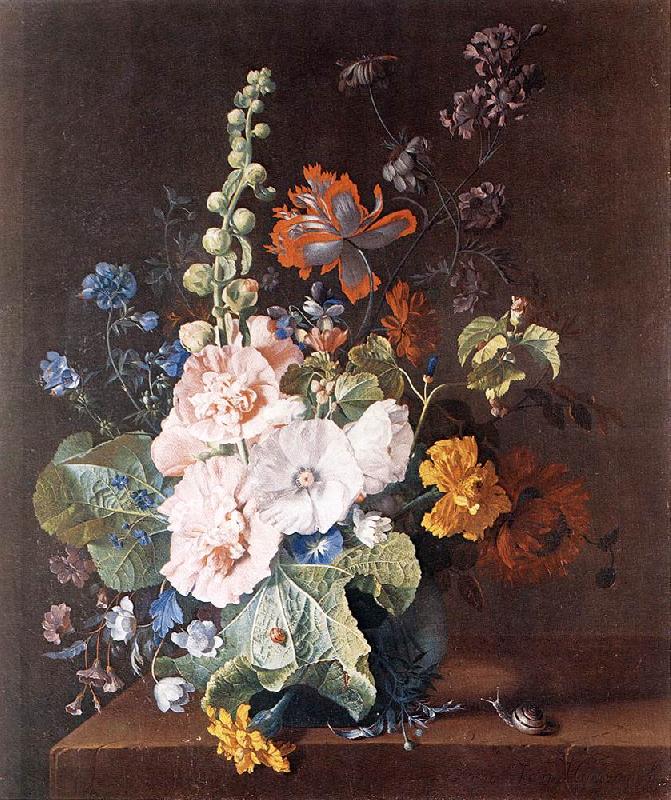 HUYSUM, Jan van Hollyhocks and Other Flowers in a Vase sf